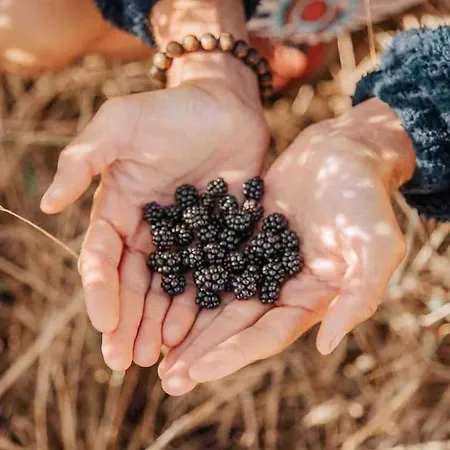 Coliving Surf & Permaculture - Vivenda Felicidade Penzion