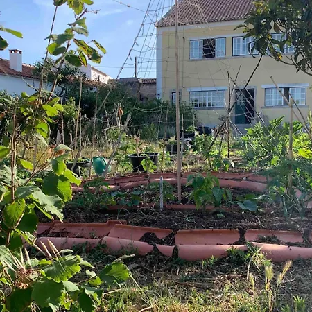 Penzion Coliving Surf & Permaculture - Vivenda Felicidade Bolembre
