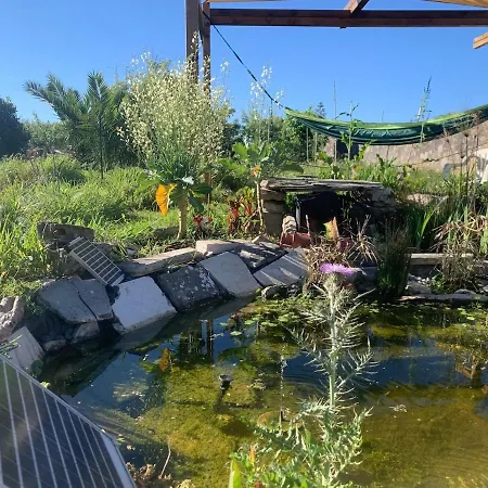 Penzion Coliving Surf & Permaculture - Vivenda Felicidade