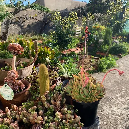Penzion Coliving Surf & Permaculture - Vivenda Felicidade