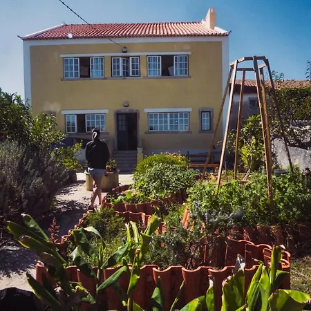 Coliving Surf & Permaculture - Vivenda Felicidade