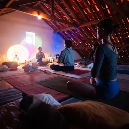 Coliving Surf & Permaculture - Vivenda Felicidade