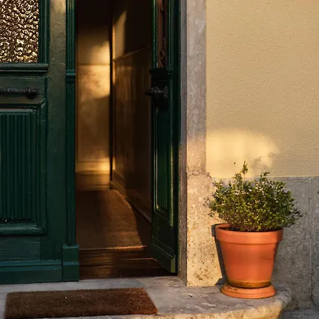 Coliving Surf & Permaculture - Vivenda Felicidade Penzion *